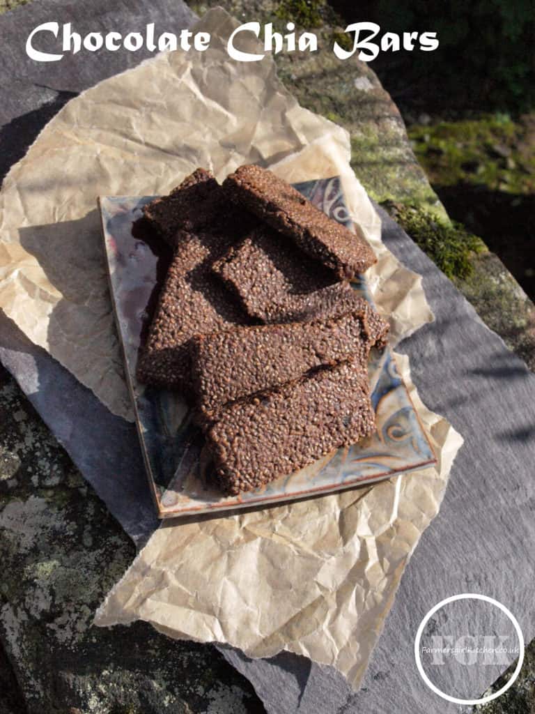 Choclate Chia Bars made in the Optimum P200 Dehydrator Chocolate Chia Optimum P200 Dehydrator Bars